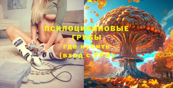 твердый Алексин