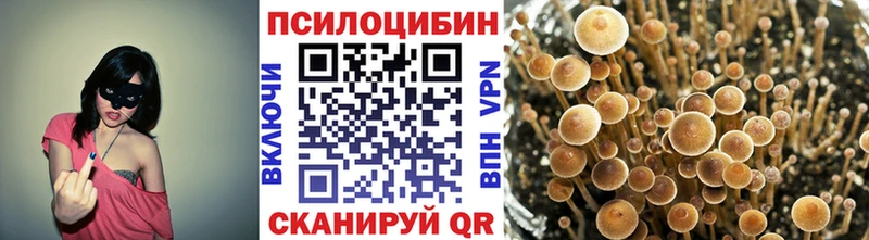 Галлюциногенные грибы Magic Shrooms  купить  сайты  OMG ТОР  Каневская 